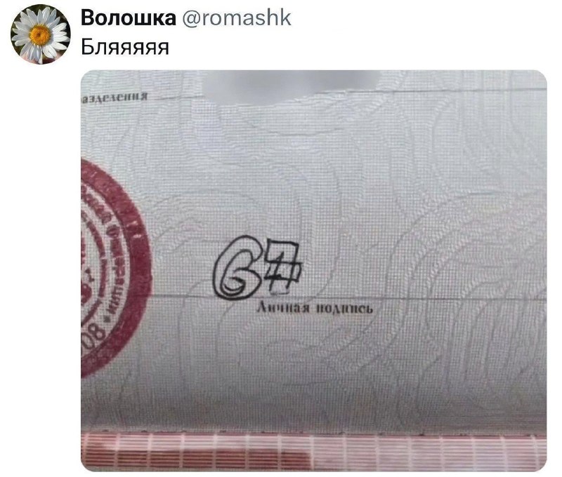 Фото поста канала Двач