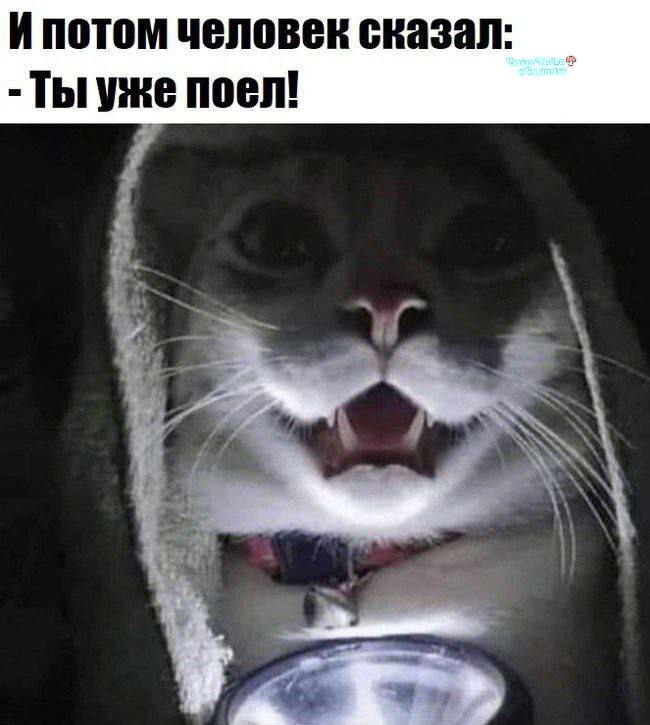 Фото поста канала  Ходють тут всякие!🍄