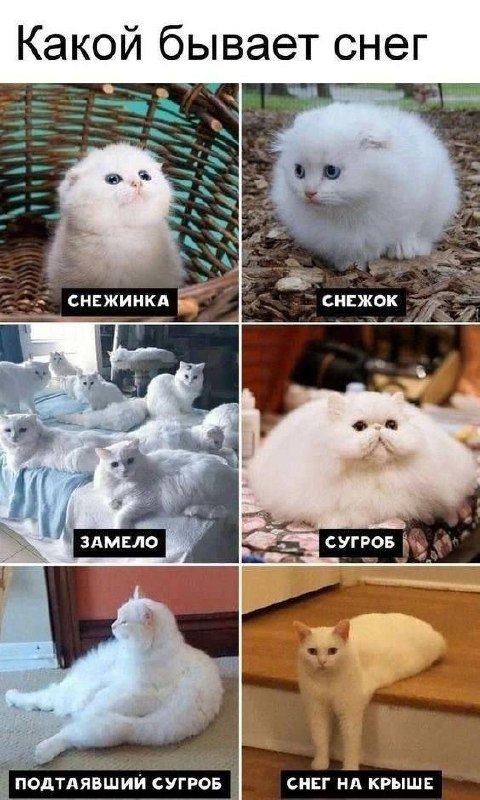 Фото поста канала Chita.Ru | Новости Читы