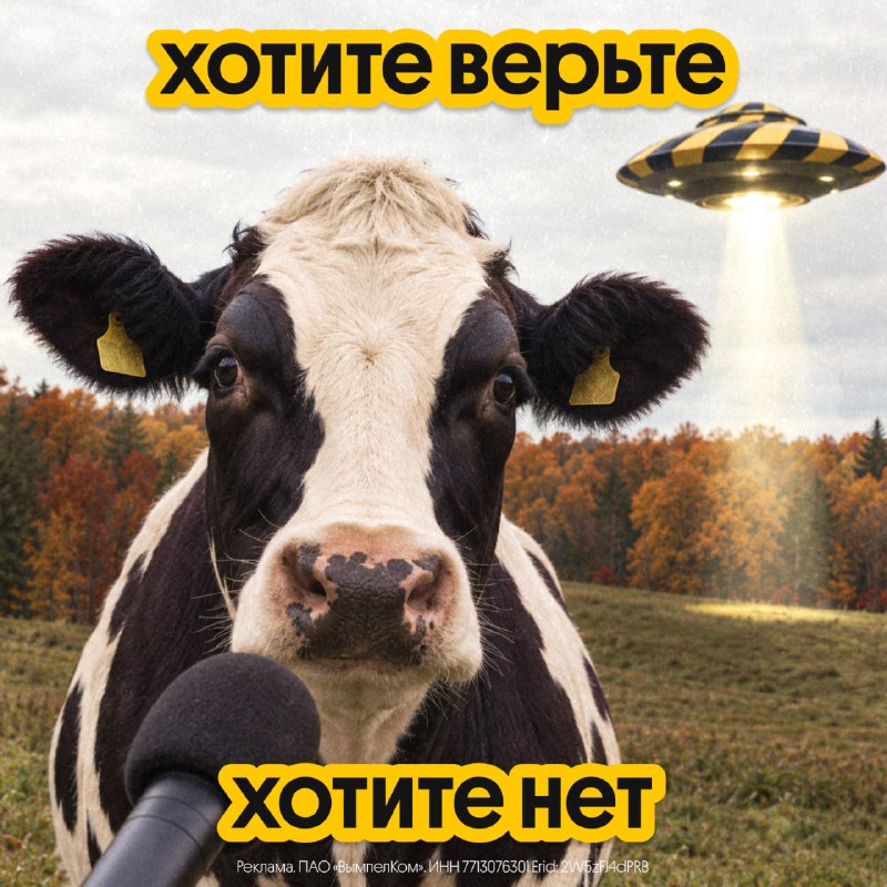 Фото поста канала  Провод