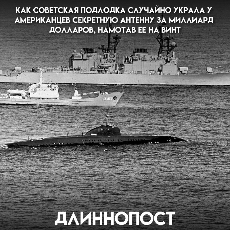 Фото поста канала Пикабу