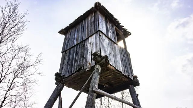 Фото поста канала  ЯМонитор