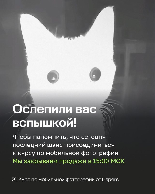 Фото поста канала  Бумага: всё о Петербурге