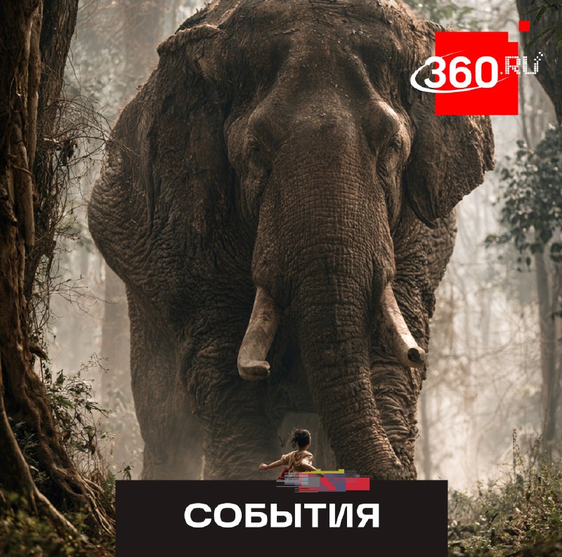 Фото поста канала  360.ru