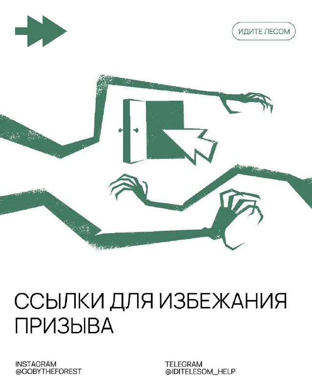 Фото поста канала Идите лесом!