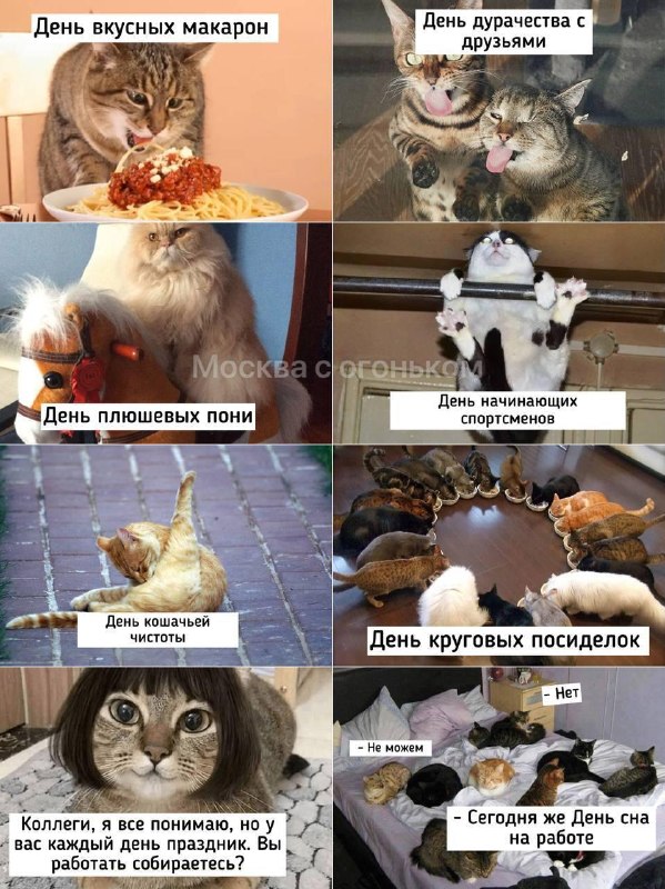Фото поста канала Петербург с огоньком