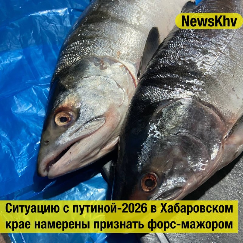 Фото поста канала  NewsKhv