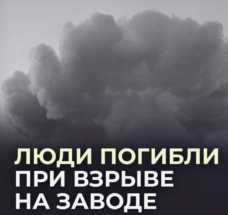 Фото поста канала  Синяя Z Борода