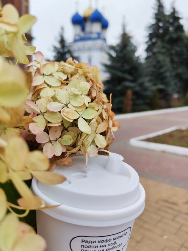 Фото поста канала  Бронницы Online