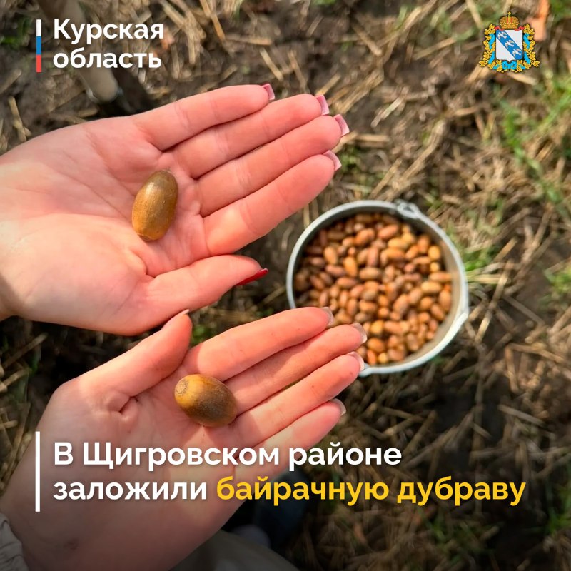 Фото поста канала  Курская область