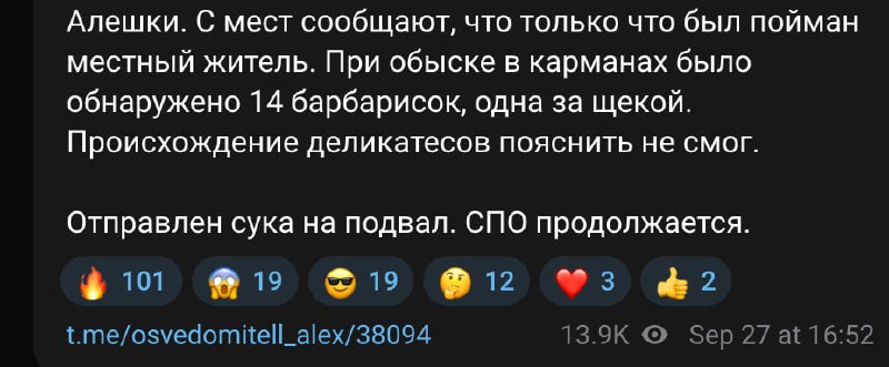 Фото поста канала Жизнь насекомых