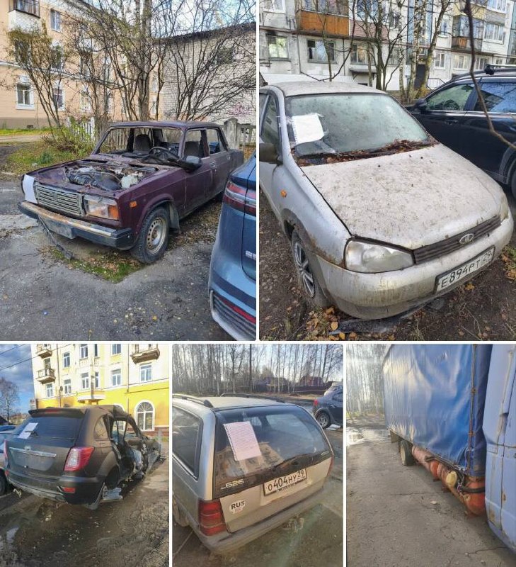 Фото поста канала  Экология Поморья. Северо-Запад