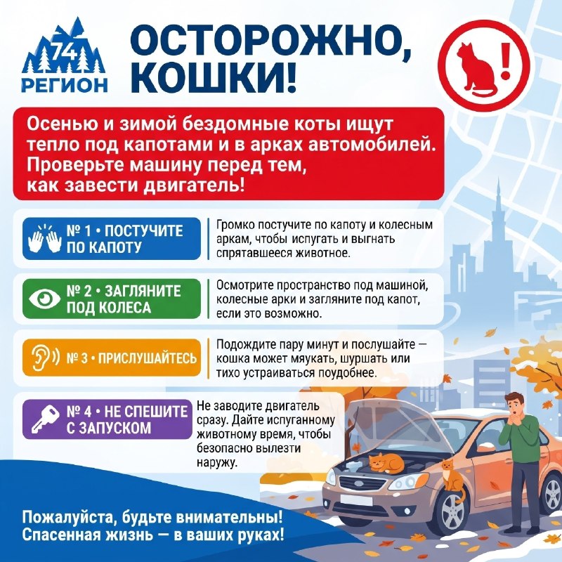 Фото поста канала  Регион 74 | Южный Урал и Челябинск