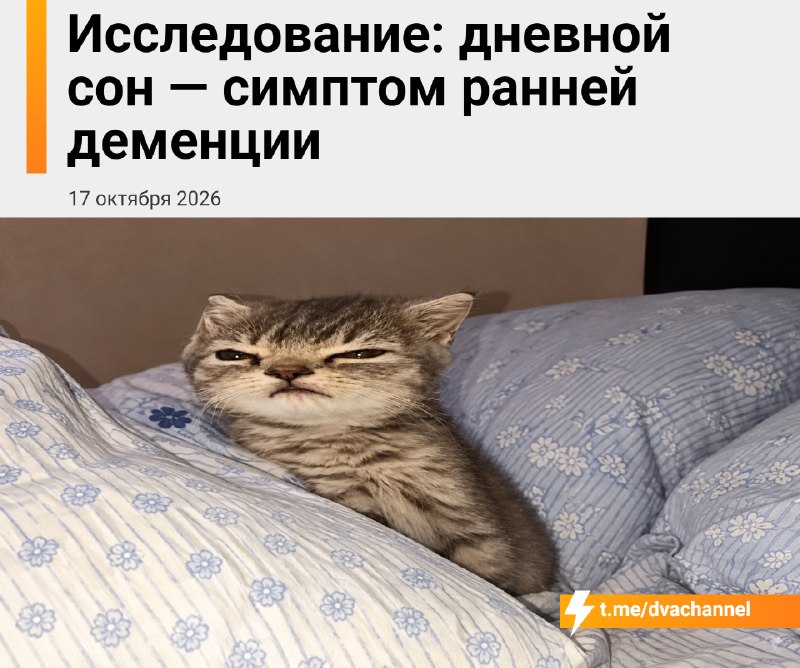 Фото поста канала Двач