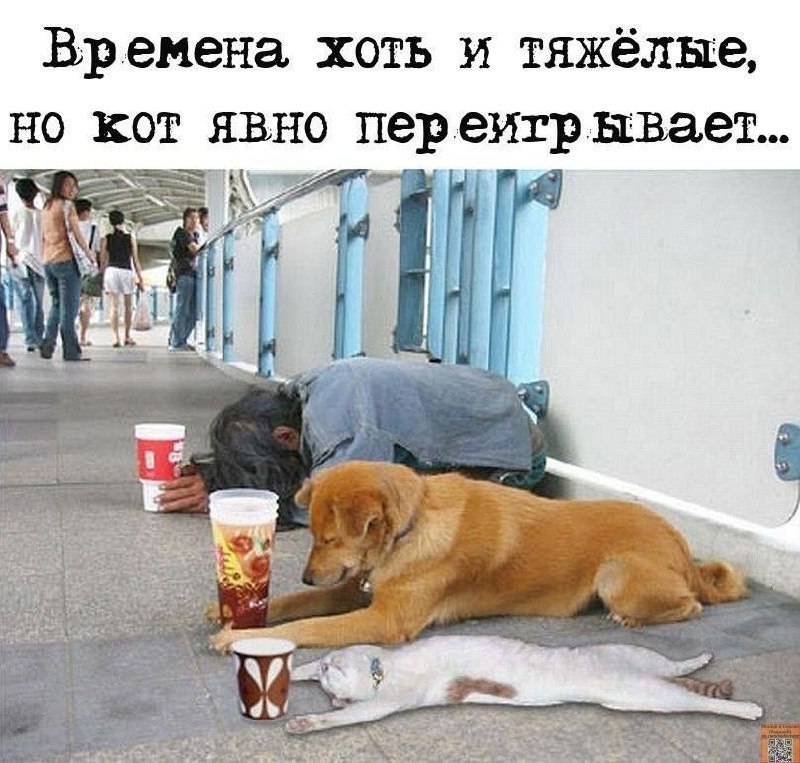 Фото поста канала Анекдоты | Мемы | Юмор 🍒