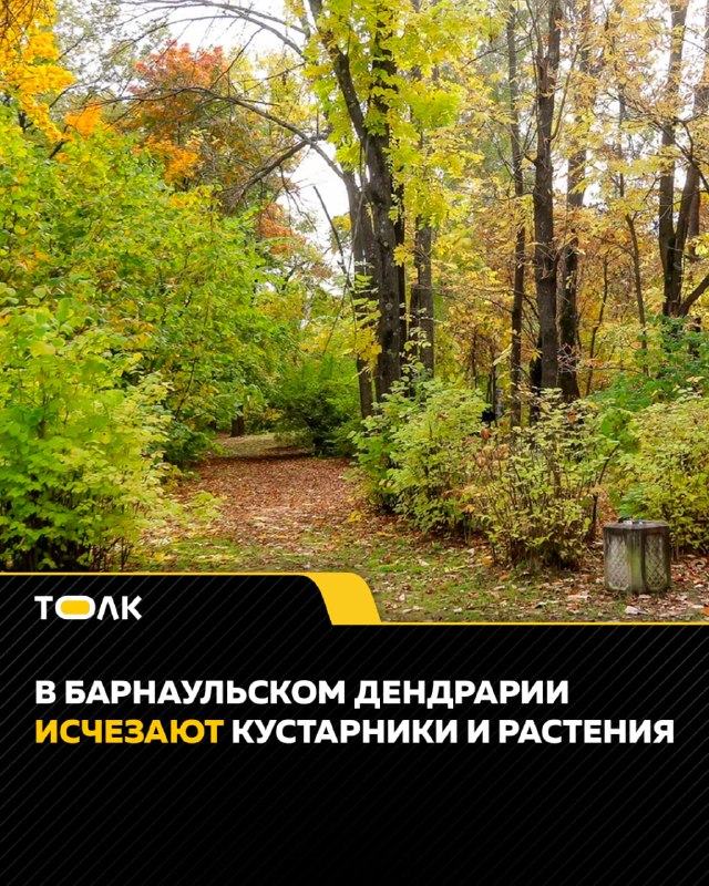 Фото поста канала  "ЛИСток". Новости Республики Алтай