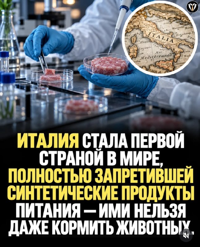 Фото поста канала  Галина Царёва (официальный)