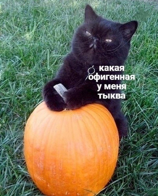 Фото поста канала Контрольная закупка