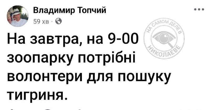 Фото поста канала  На самом деле в Николаеве
