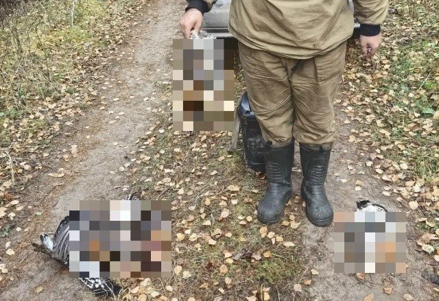Фото поста канала  АрхДайджест