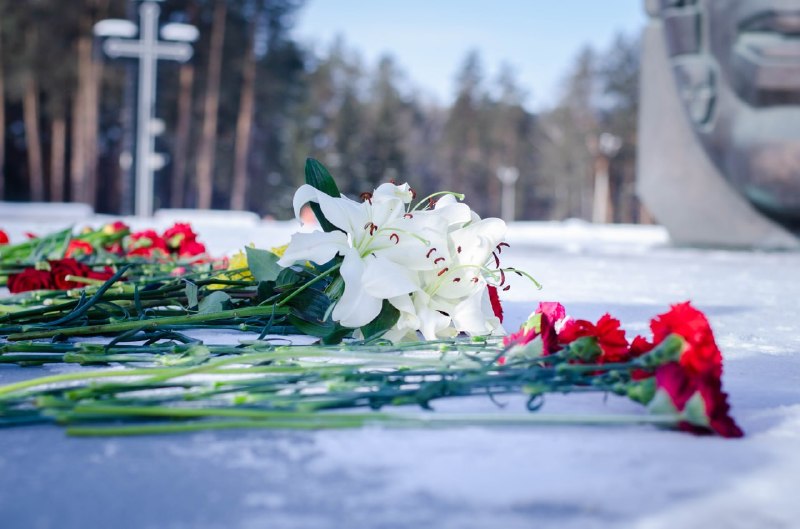 Фото поста канала  Мониторинг 66 Свердловская область