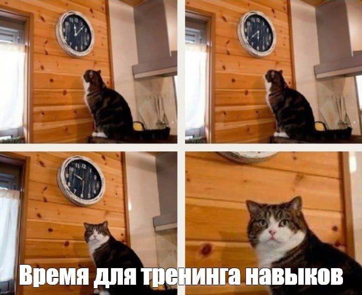 Фото поста канала  Ёжкин кот 🇷🇺