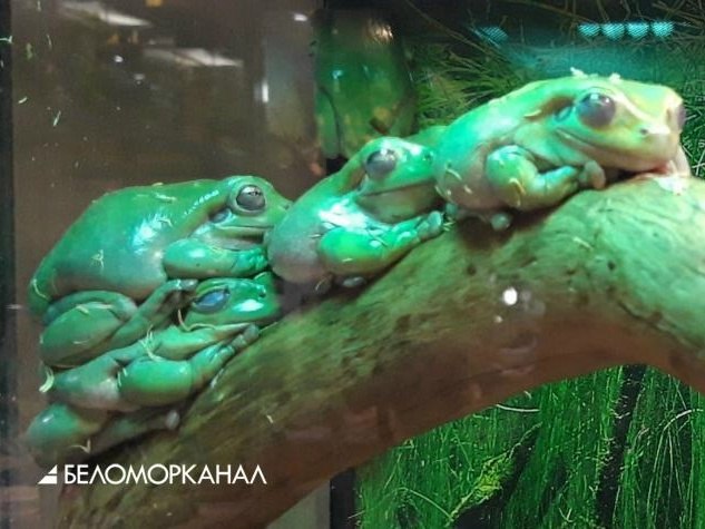 Фото поста канала  АрхДайджест