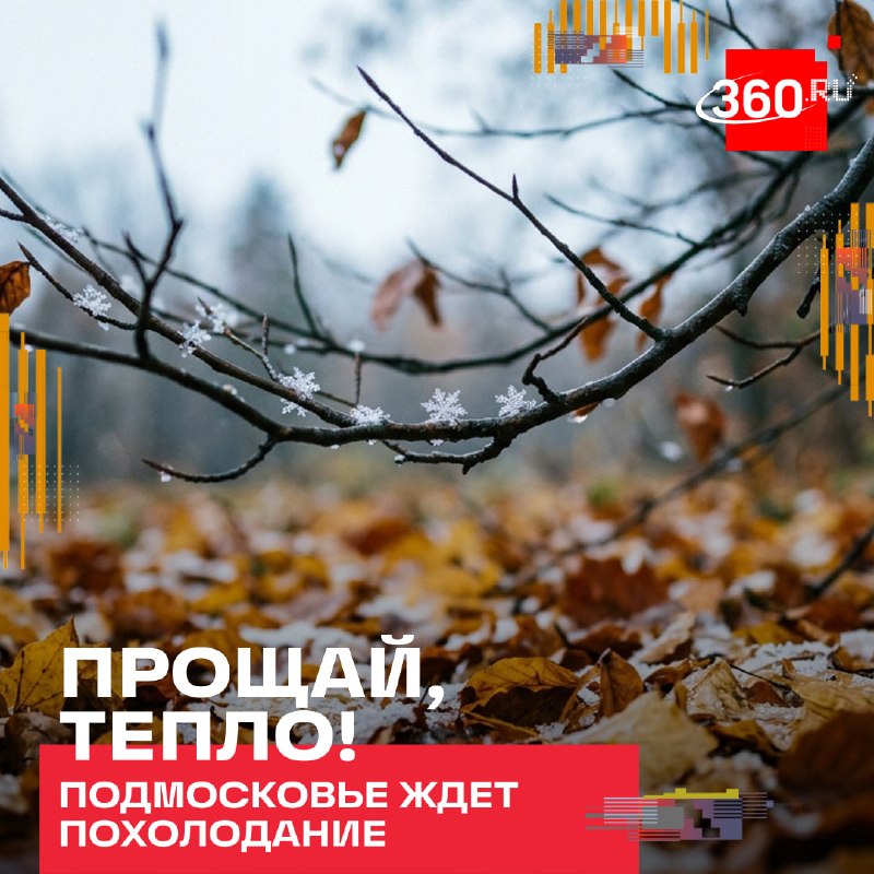 Фото поста канала  360.ru
