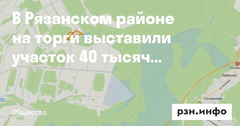 Фото поста канала  Новости Рязани • РЗН.инфо