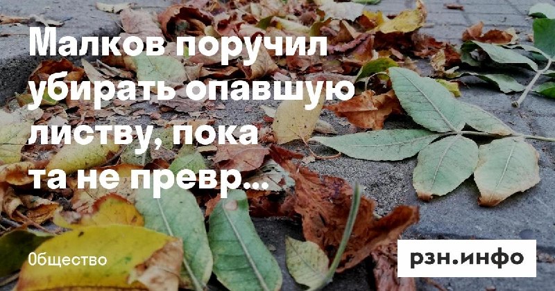Фото поста канала  Новости Рязани • РЗН.инфо