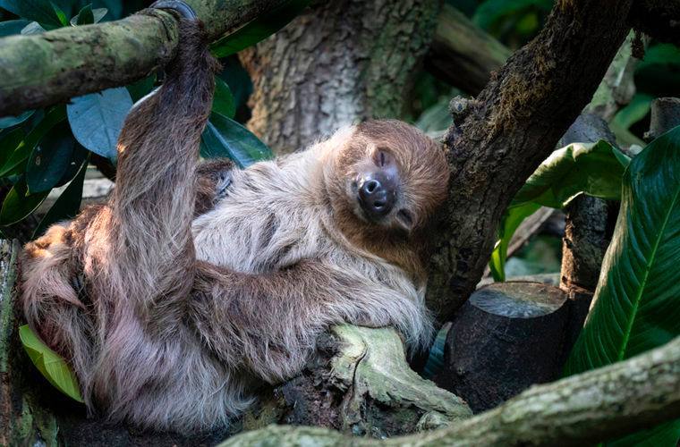 Фото поста канала Бренды на коне