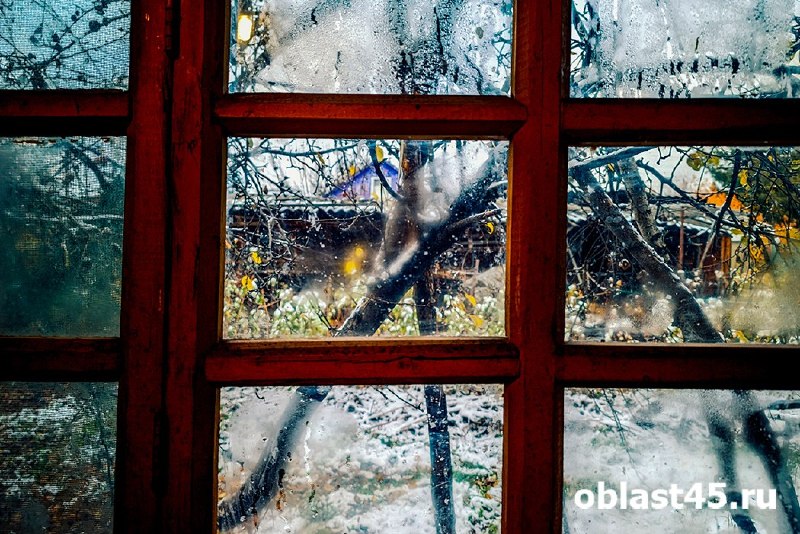 Фото поста канала  Мониторинг 45 Курганская область