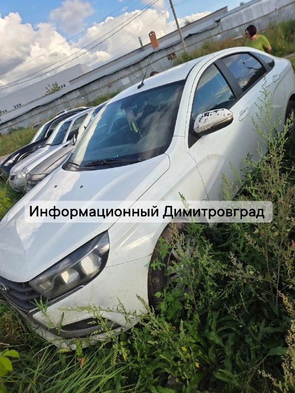 Фото поста канала  Информационный Димитровград