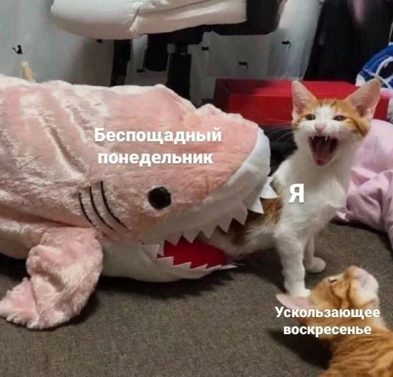 Фото поста канала  ИА ЛАБЫТНАНГИ