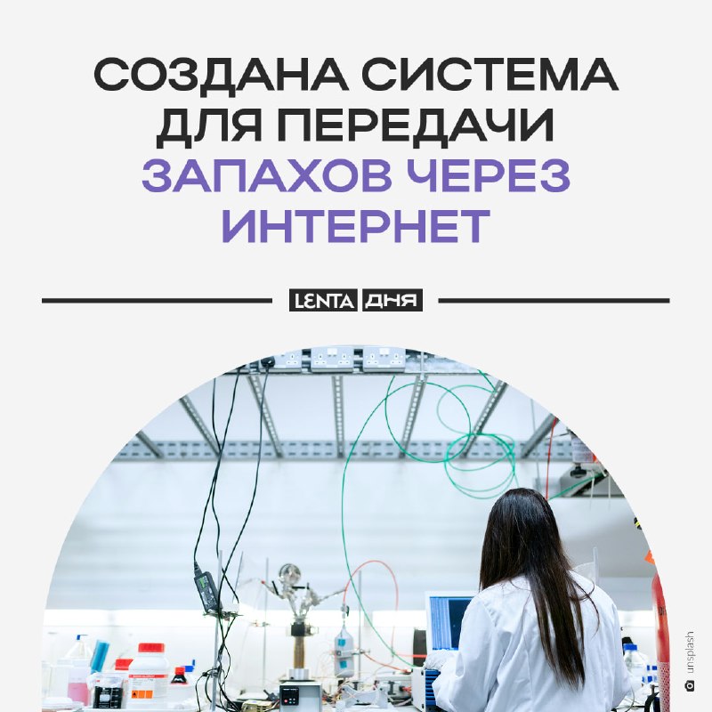 Фото поста канала Лента дня