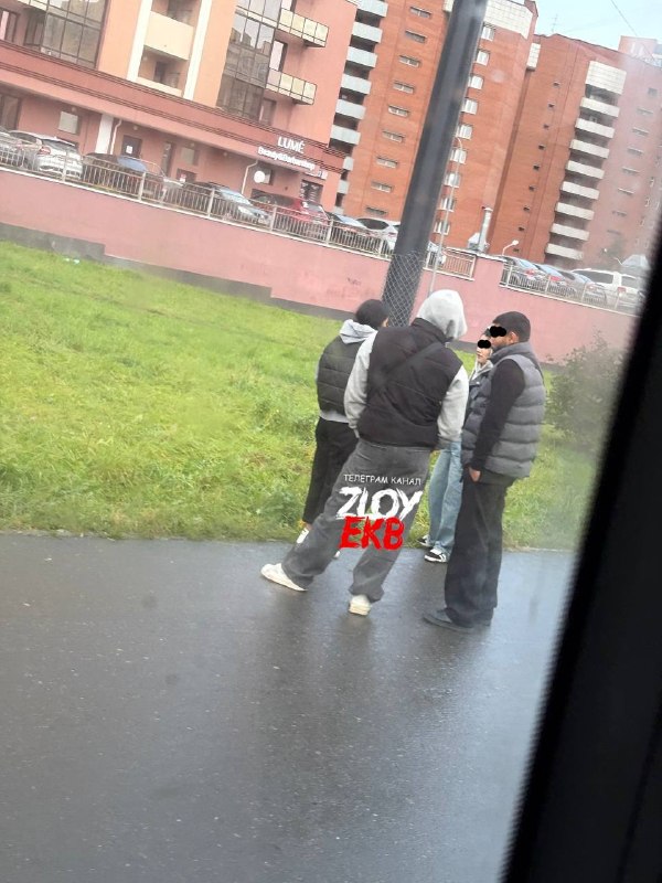 Фото поста канала  В порядке бреда 🧨