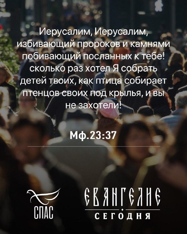 Фото поста канала  Телеканал СПАС
