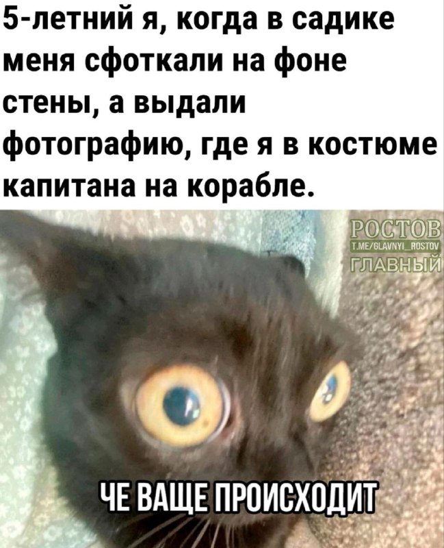 Фото поста канала  Ростов Главный новости