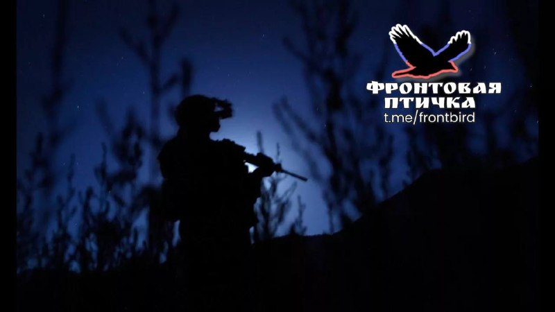 Фото поста канала  Фронтовая птичка