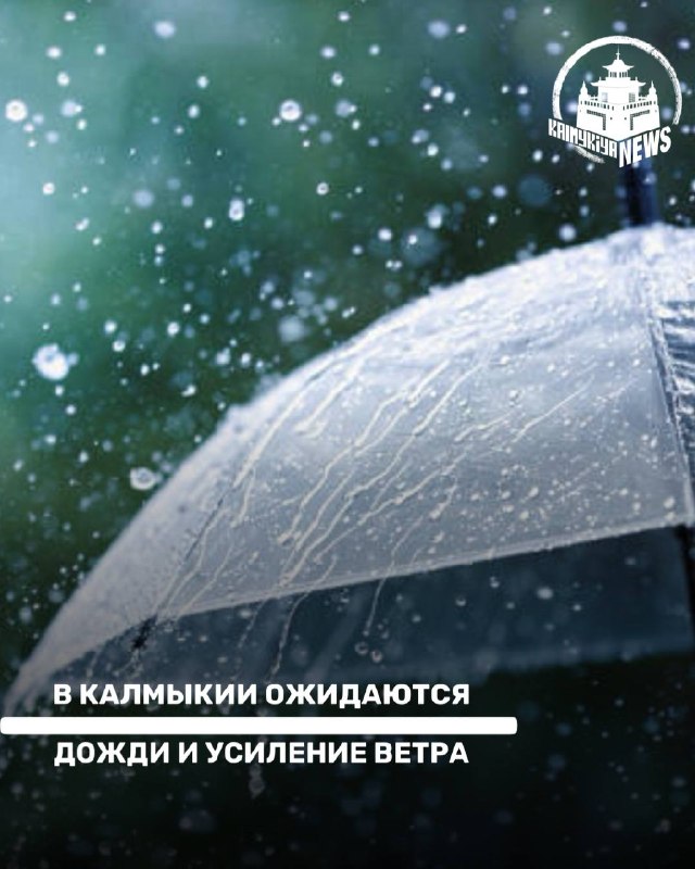 Фото поста канала  Калмыкия NEWS