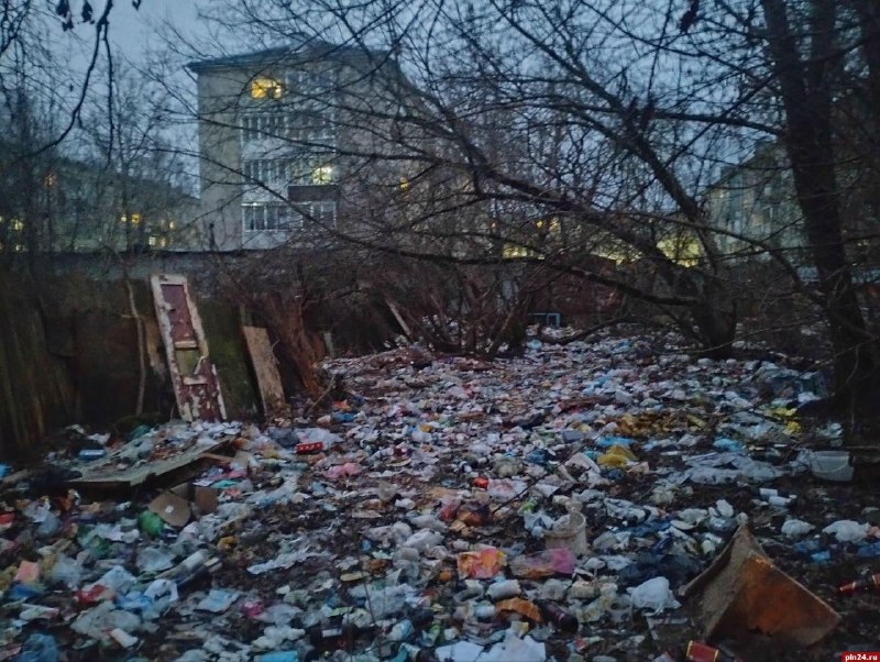 Фото поста канала  Псковская Лента Новостей