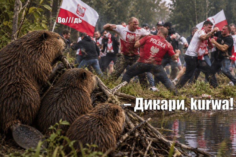 Фото поста канала  🇷🇺КРАСНОЕ ЗВЕНО🔗🔥