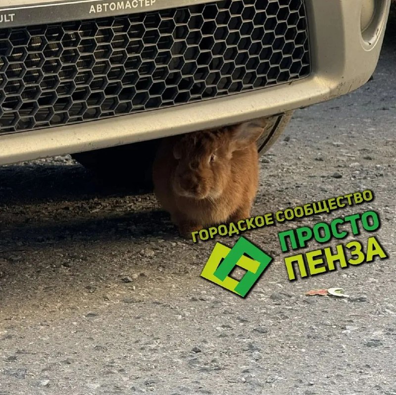 Фото поста канала  Просто Пенза