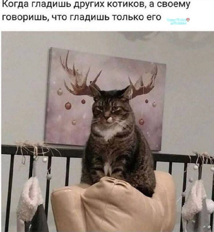 Фото поста канала  Ходють тут всякие!🍄