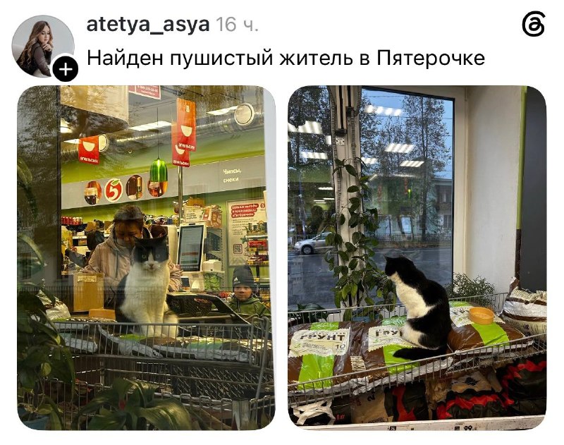 Фото поста канала Беспощадный ритейл