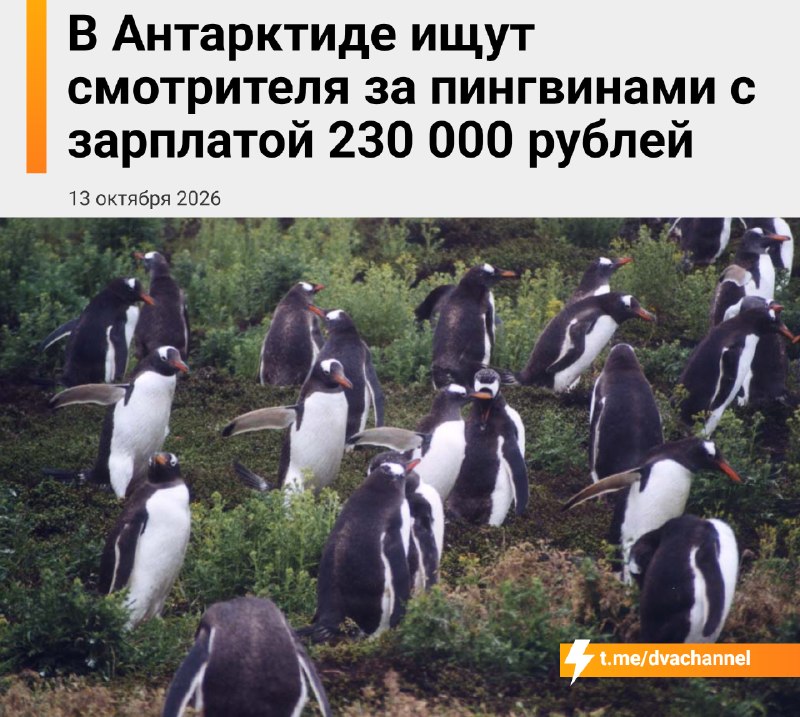 Фото поста канала Двач