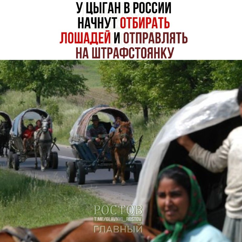 Фото поста канала  Ростов Главный новости