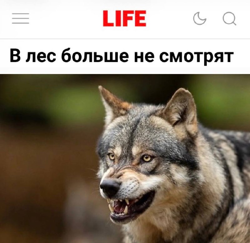 Фото поста канала Пул N3