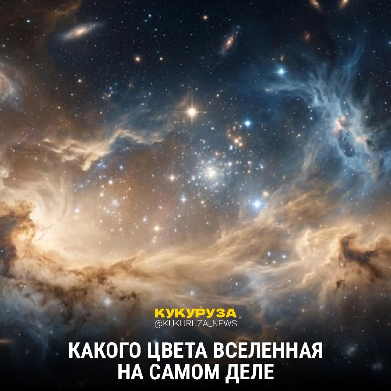 Фото поста канала НГС — новости Новосибирска