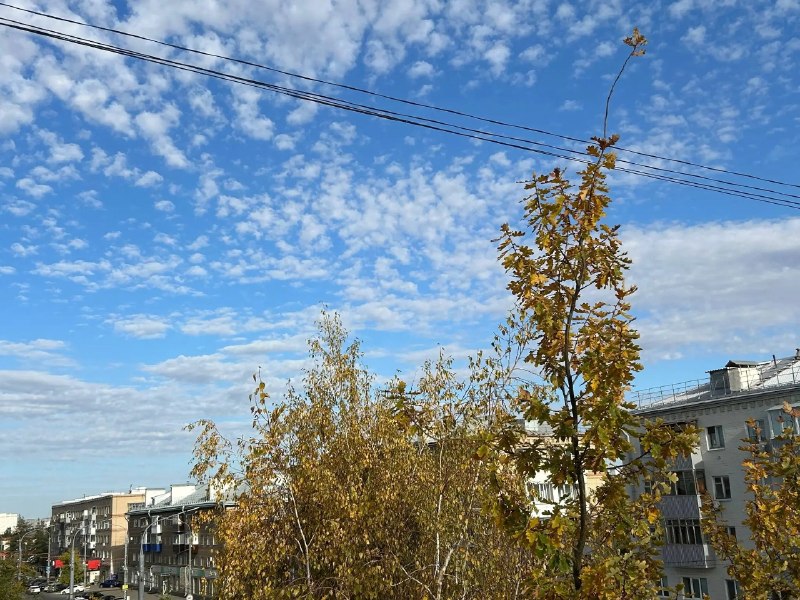 Фото поста канала  Оренбург Медиа